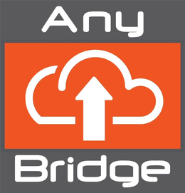 ANY BRIDGE trademark