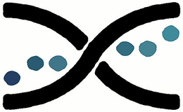 X trademark