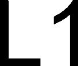 L1 trademark