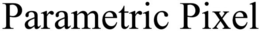 PARAMETRIC PIXEL trademark