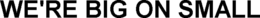 WE'RE BIG ON SMALL trademark
