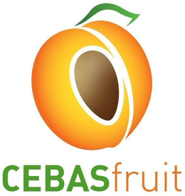 CEBAS FRUIT trademark