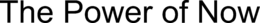 THE POWER OF NOW trademark