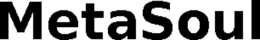 METASOUL trademark