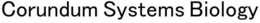 CORUNDUM SYSTEMS BIOLOGY trademark