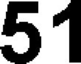 51 trademark