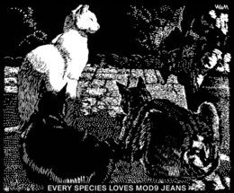 EVERY SPECIES LOVES MOD9 JEANS trademark