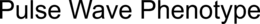 PULSE WAVE PHENOTYPE trademark