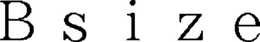 BSIZE trademark