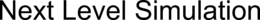 NEXT LEVEL SIMULATION trademark