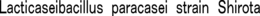 LACTICASEIBACILLUS PARACASEI STRAIN SHIROTA trademark