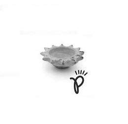 P trademark