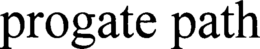 PROGATE PATH trademark