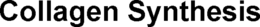 COLLAGEN SYNTHESIS trademark