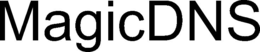 MAGICDNS trademark