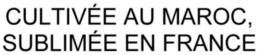 CULTIVÉE AU MAROC, SUBLIMÉE EN FRANCE trademark