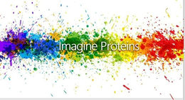 IMAGINE PROTEINS trademark