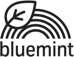 BLUEMINT trademark