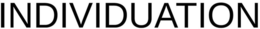 INDIVIDUATION trademark