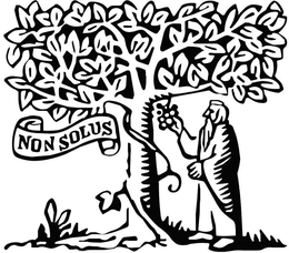 NON SOLUS trademark