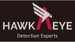 HAWKAEYE DETECTION EXPERTS trademark