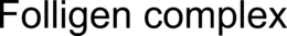 FOLLIGEN COMPLEX trademark