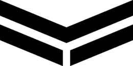 Y trademark