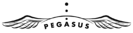 PEGASUS trademark