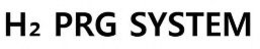 H2 PRG SYSTEM trademark