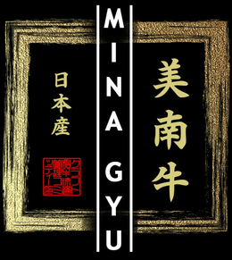 MINA GYU trademark