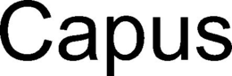 CAPUS trademark