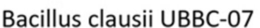 BACILLUS CLAUSII UBBC-07 trademark
