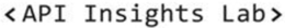 < API INSIGHTS LAB > trademark