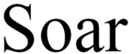 SOAR trademark