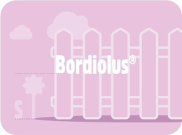 S BORDIOLUS trademark