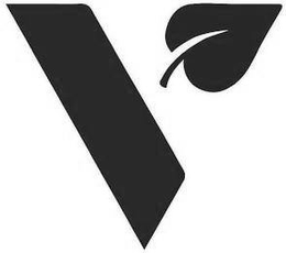 V trademark