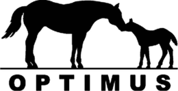 OPTIMUS trademark