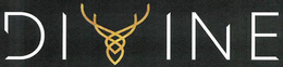 DIVINE trademark