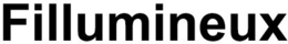 FILLUMINEUX trademark