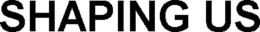 SHAPING US trademark
