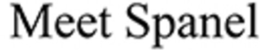 MEET SPANEL trademark