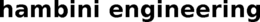 HAMBINI ENGINEERING trademark