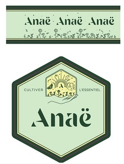 ANAË ANAË ANAË  ANAË CULTIVER L'ESSENTIEL A trademark