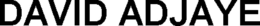 DAVID ADJAYE trademark