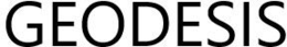 GEODESIS trademark