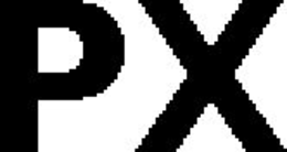 PX trademark