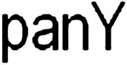 PANY trademark