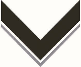 V trademark