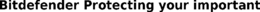 BITDEFENDER PROTECTING YOUR IMPORTANT trademark