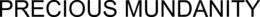 PRECIOUS MUNDANITY trademark